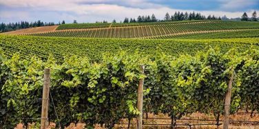 CHARENTE 16 - Pharmacie sans concurrence – Habitation de qualité